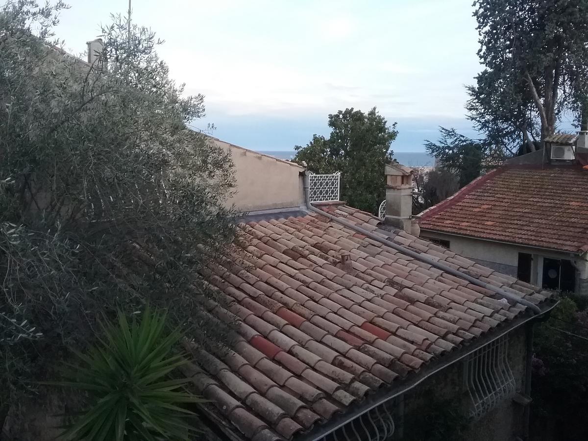 Petite Fleur D'Azur Bed and Breakfast Cagnes-sur-Mer Eksteriør billede